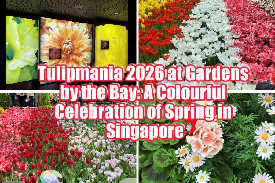 Tulipmania 2026 at Gardens by the Bay: A Colourful Celebration of Spring in Singapore