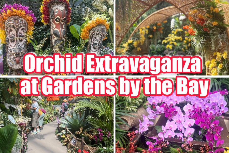 Orchid Extravaganza at Gardens by the Bay